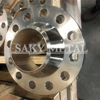 310 Stainless Steel Flanges