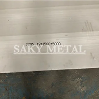 2205 Duplex sheet plate - main product view