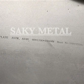 254 SMO Plate - main product view