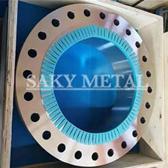 S32750 S32760 Super Duplex Steel Flanges - main product view